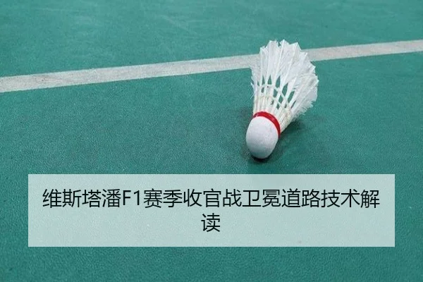 维斯塔潘F1赛季收官战卫冕道路技术解读